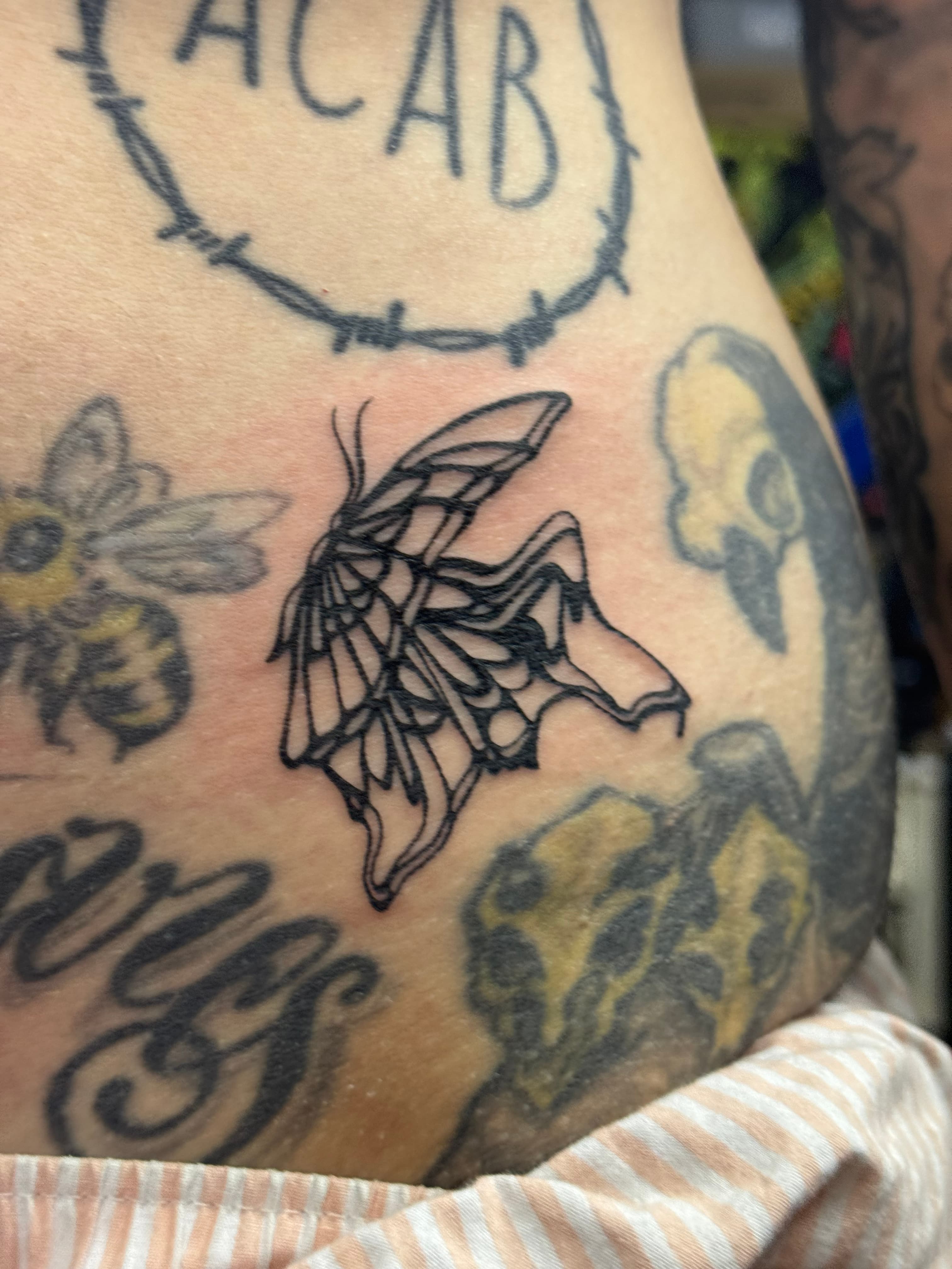 Butterfly